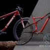 mejores-bicicletas-cross-country-de-2021-biciobiker