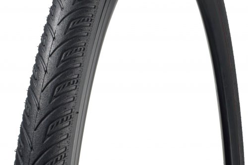 All Condition Armadillo